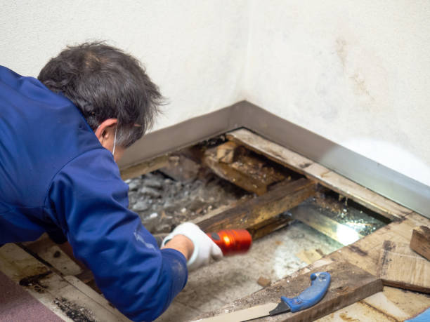 Best Water Damage Restoration  in Charter Oak, CA