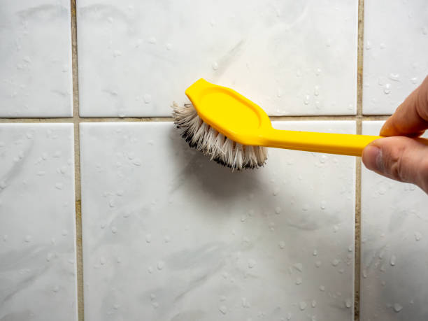 Best Attic Mold Removal  in Charter Oak, CA