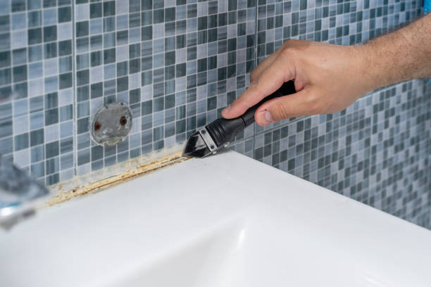 Best Office Mold Removal Services  in Charter Oak, CA