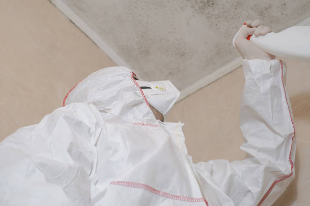 Best Same-Day Mold Removal  in Charter Oak, CA