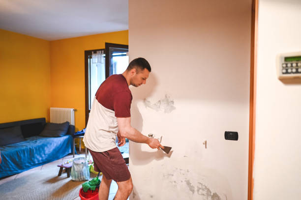 Best Toxic Mold Removal  in Charter Oak, CA