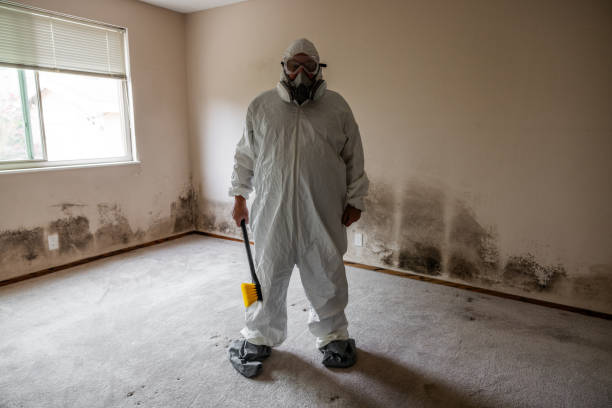 Best Crawl Space Mold Removal  in Charter Oak, CA
